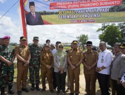 Harga Gabah Dijaga Stabil, Gubernur Lampung Tegaskan Komitmen Sejahterakan Petani